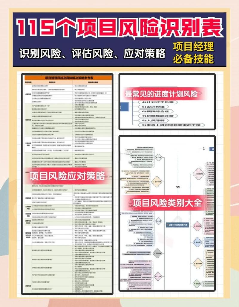项目管理中，有哪些风险知识需要我们深入学习？