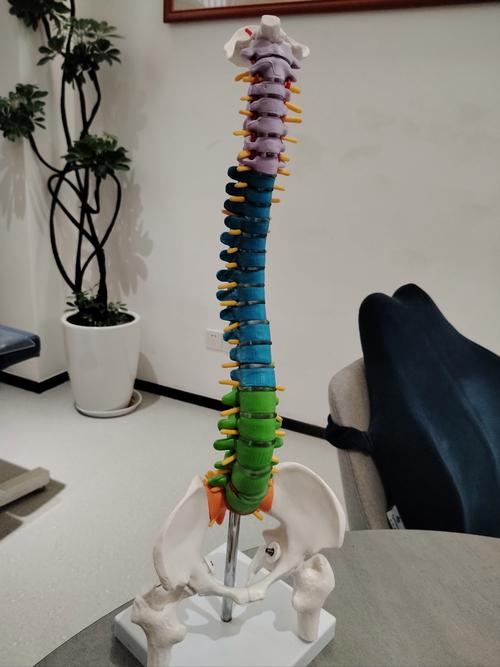吴桥SEO专家，你们有哪个专业团队是首选？