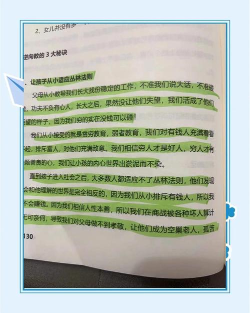 这个高权重解析的全细节,你能给我来个深度揭秘吗?