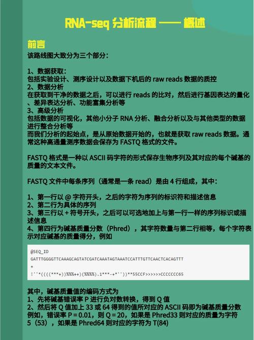 如何撰写AtCoderGC038BSortingaSegment的详细解题步骤报告？