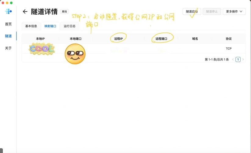 如何通过花生壳内网穿透SEO优化，提升内网穿透网站在搜索引擎中的排名？