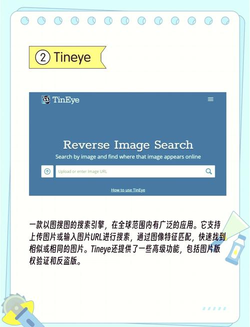 YOLOv5与CLIP结合的找图神器，实现搜图裁剪一体化，在线试用体验如何？