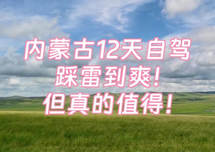 有哪些踩雷记录值得分享？