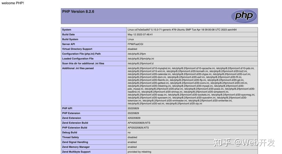 如何在Mac系统上详细构建Nginx与php-fpm服务实例？