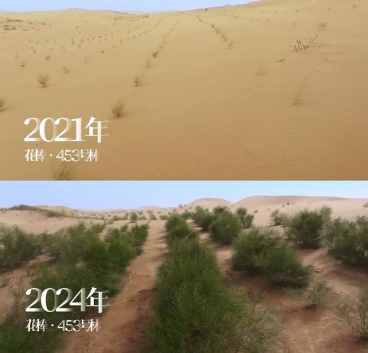 蚂蚁森林产品经理是谁？揭秘亿人好奇的神秘面纱背后之人？