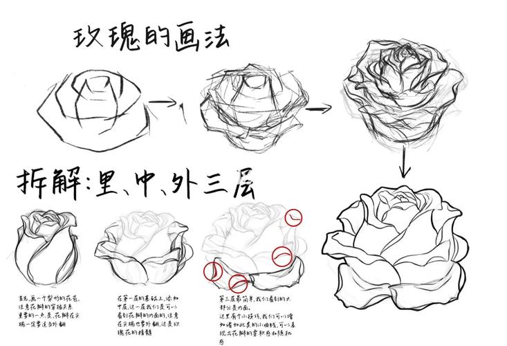 如何用JavaScript制作一朵从含苞到完全绽放的玫瑰花动画？