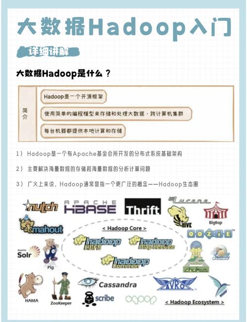 如何迅速掌握Hadoop大数据技术的入门方法？
