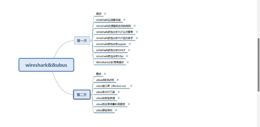 如何设置WireShark的过滤条件以优化网络抓包分析？