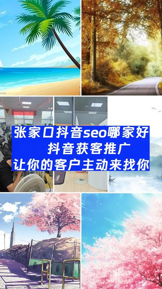 张家口SEO/网站开发专家，哪家服务更专业呢？