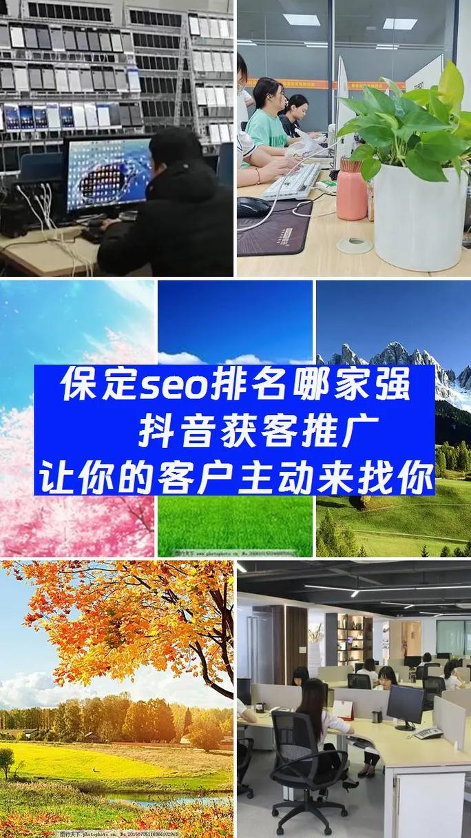 保定SEO优化费用高吗？性价比高的服务有哪些？