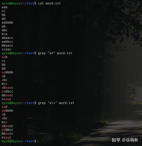 Linux中通配符和正则表达式有何区别？