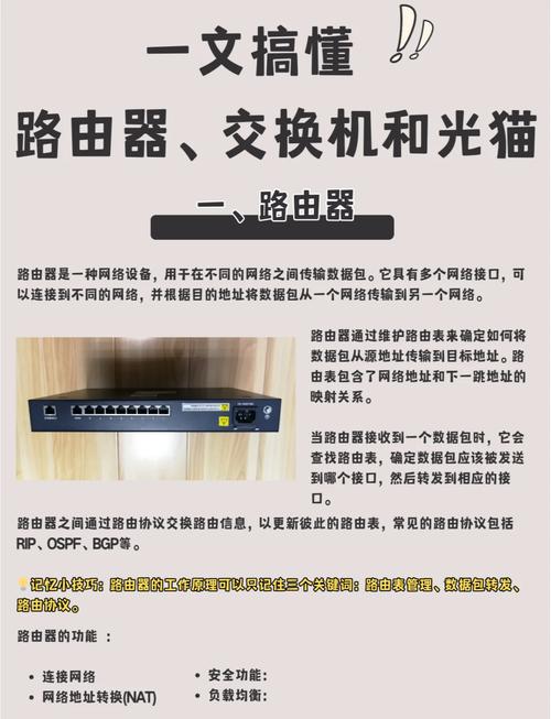 Vue-router中params与query有何本质差异？