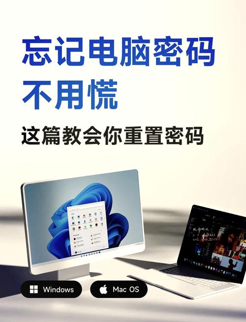 忘记ThinkPHP登录密码，如何重置？