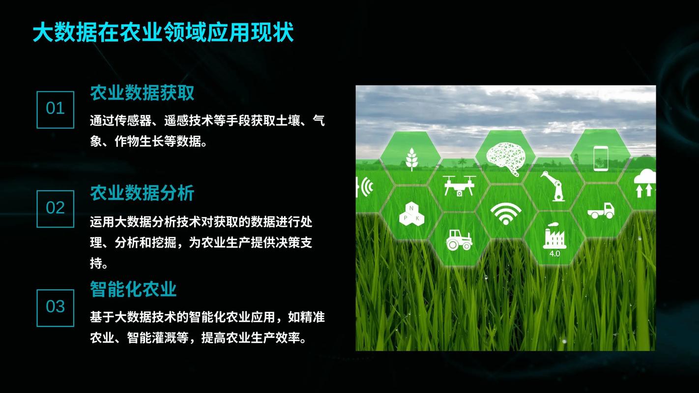 农业大数据如何推动产业信息化发展模式的创新？