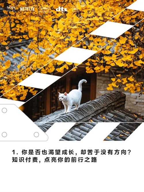 有没有什么文艺清新风格的知识付费新方式可以探索？