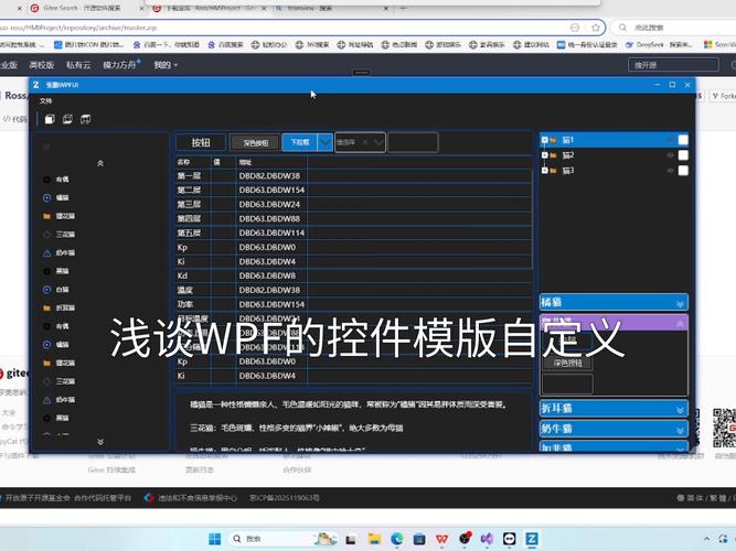 WPF如何实现摄像头视频画面上叠加自定义控件的方法？