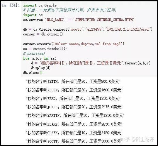 如何高效使用Python进行MongoDB服务器端编程？
