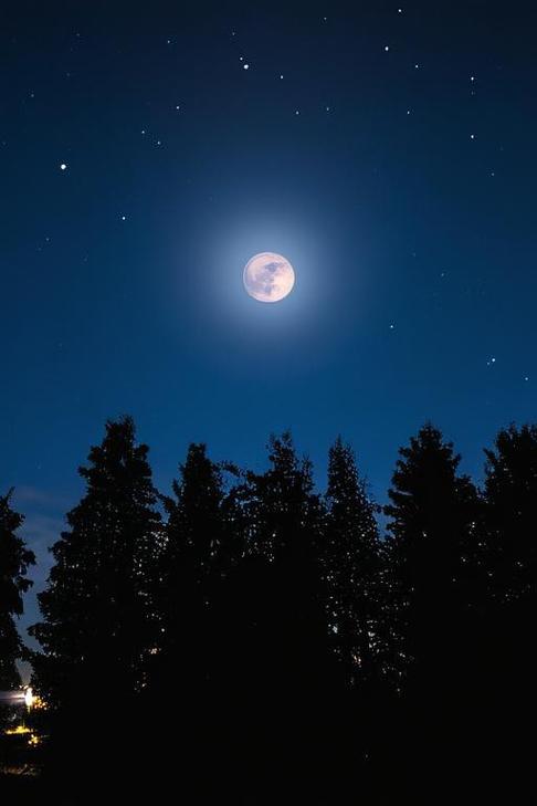 三月夜深时分，是何种景象？
