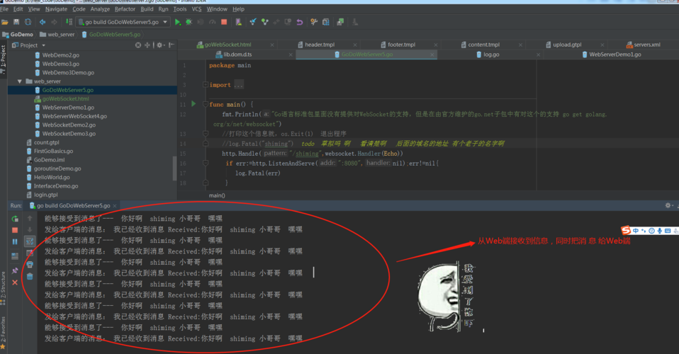 如何使用Go语言网络编程函数实现WebSocket通信？