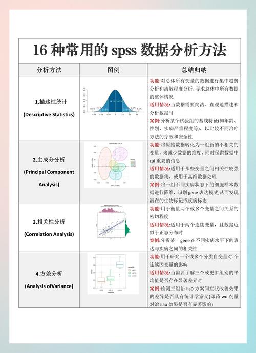 如何通过Laravel高效实现数据统计分析功能？