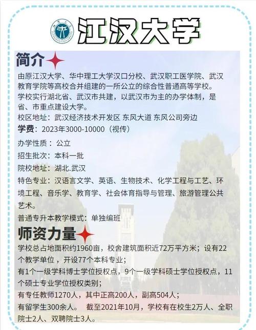 湖北SEO学习首选地是哪里？