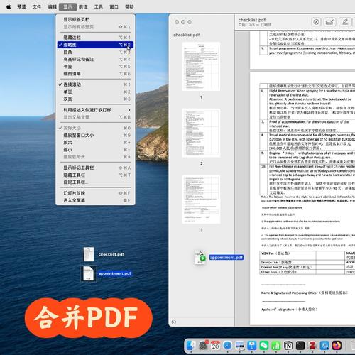 Vue如何实现接收二进制文件流进行PDF预览的功能？