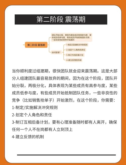 如何组建一支专业SEO优化精英团队？