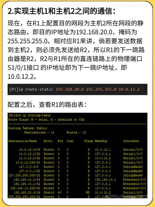 Angular的路由（Routing）有哪些特点和用法？