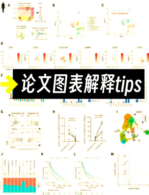 如何深入理解PHP图表制作：gd库、imagepng、imagestring等关键函数应用指南？