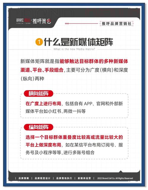 新媒体先锋，矩阵领航者，谁是行业中的佼佼者？
