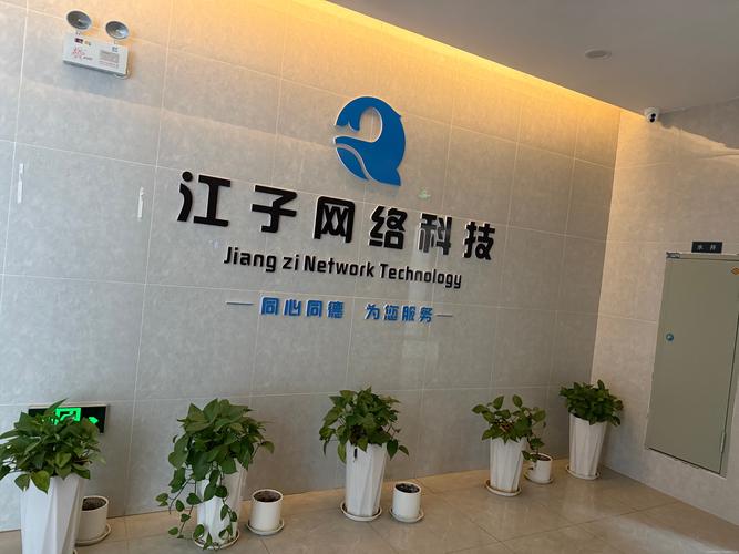 江津SEO领域哪家强，首选哪家公司呢？