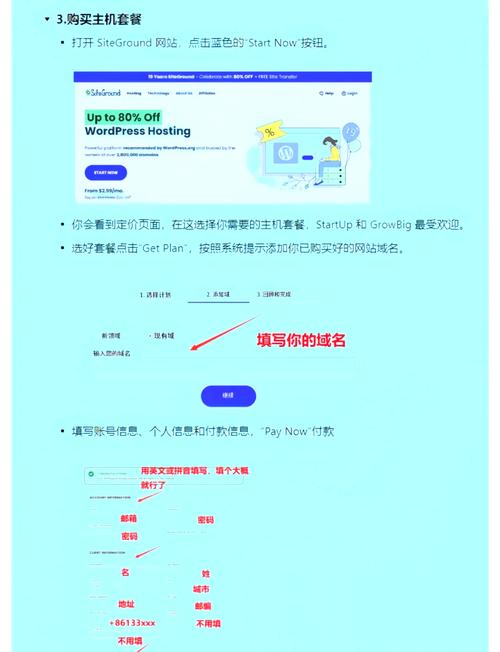 如何通过一招绝技让网站迅速崛起，在众多竞争者中独树一帜？