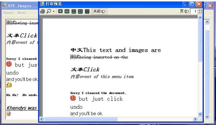 RichTextBox文字处理控件有哪些具体属性？