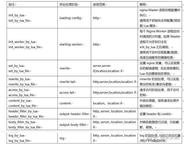 Lua-Nginx-Module中哪些指令使用频率最高？
