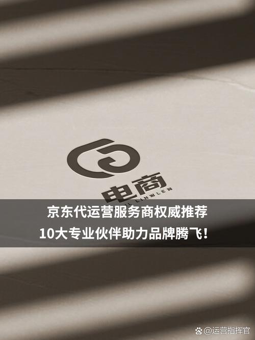 京东国际代运营，哪家专业服务提供商更值得信赖呢？
