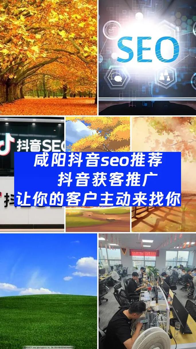 咸阳SEO专家，专业网站设计，哪家服务更出色呢？