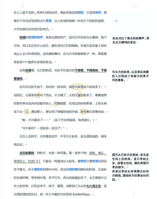 这篇文章中提到的观点，能否详细解释一下以便我深入理解其内涵？