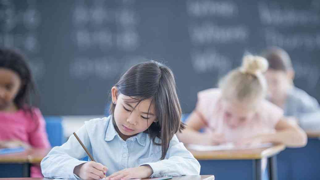 如何高效学习HTML表单设计？