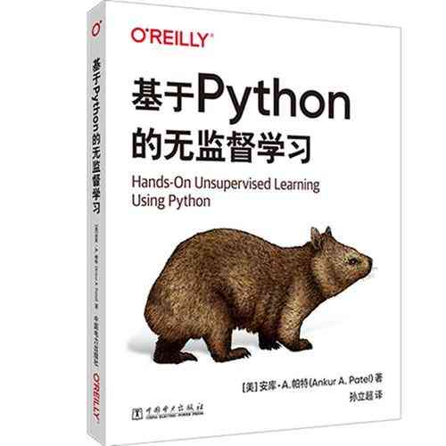 如何通过Python实现无监督学习算法？